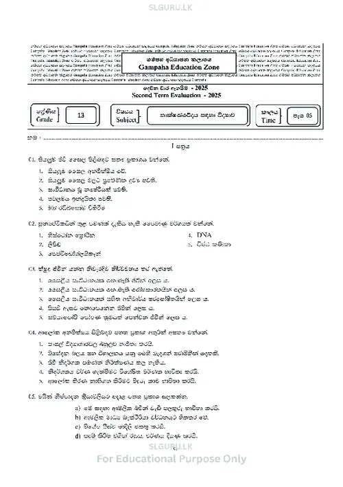 Grade 13 SFT Second Term 2025 Gampaha Educational Zone (SM) thumbnail